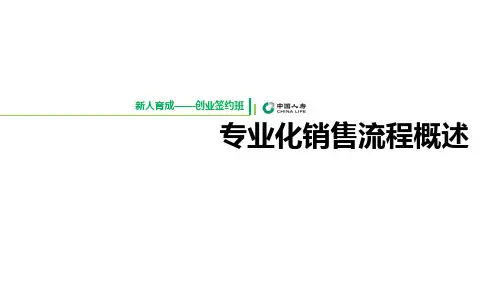 专业化销售流程概述 (1)