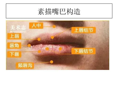素描头像嘴巴