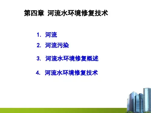 河流水环境修复技术
