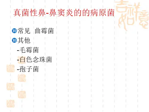 医学课件真菌性鼻-鼻窦炎