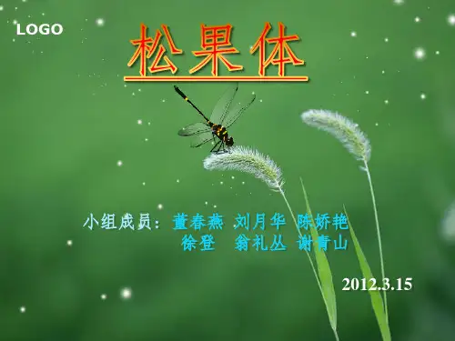 松果体