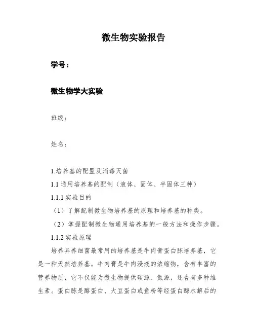 微生物实验报告