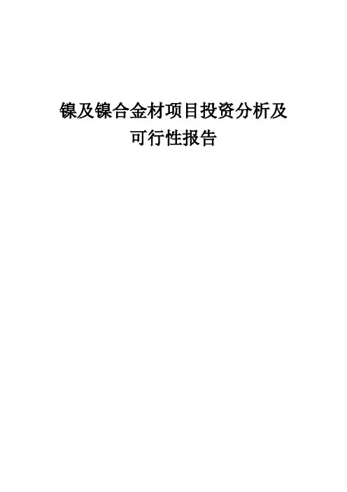 2024年镍及镍合金材项目投资分析及可行性报告
