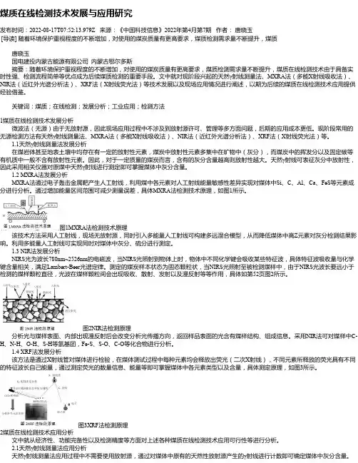 煤质在线检测技术发展与应用研究