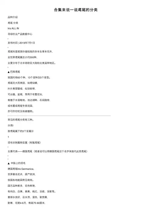 合集来说一说鸢尾的分类