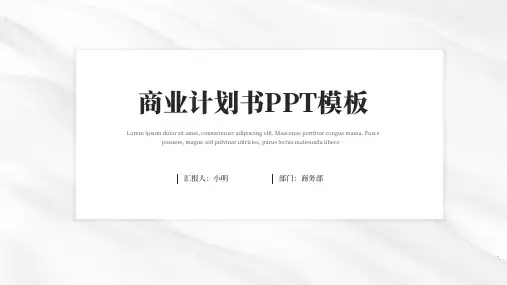 商业计划书PPT模板(简约版)