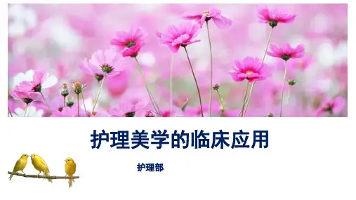 护理美学(内含解说)