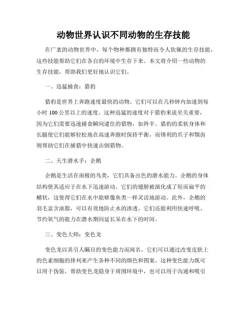 动物世界认识不同动物的生存技能