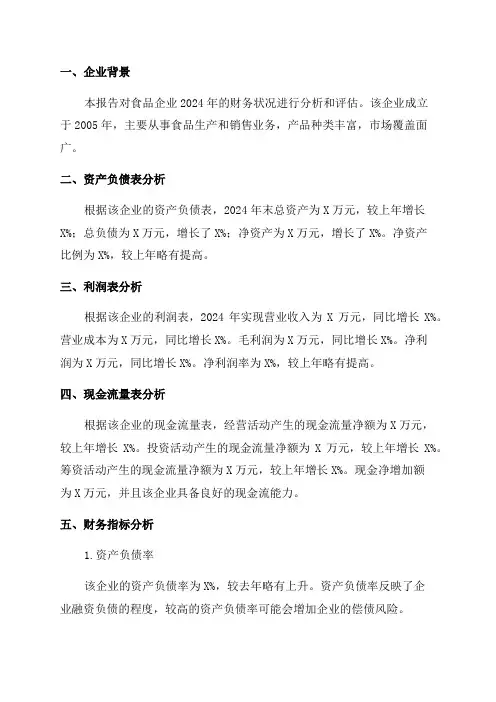 2024年食品企业财务分析报告
