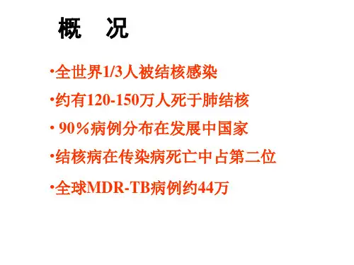 肺结核-课件ppt