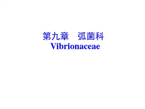 弧菌科和气单胞菌科课件