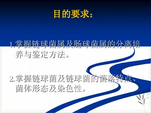 链球菌肠球菌PPT课件