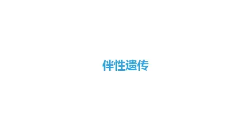 伴性遗传 课件