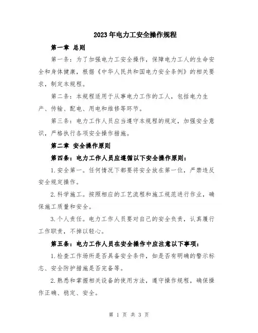 2023年电力工安全操作规程