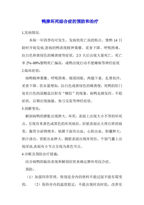 鸭脾坏死综合症的预防和治疗措施