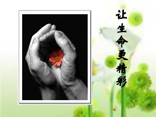 让生命更精彩ppt优秀课件 通用