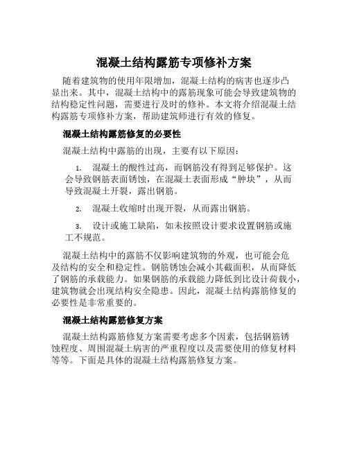 混凝土结构露筋专项修补方案范本