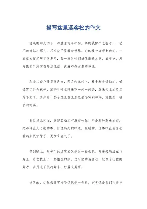 描写盆景迎客松的作文