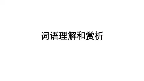 2024届高考语文复习：词语理解和赏析+课件