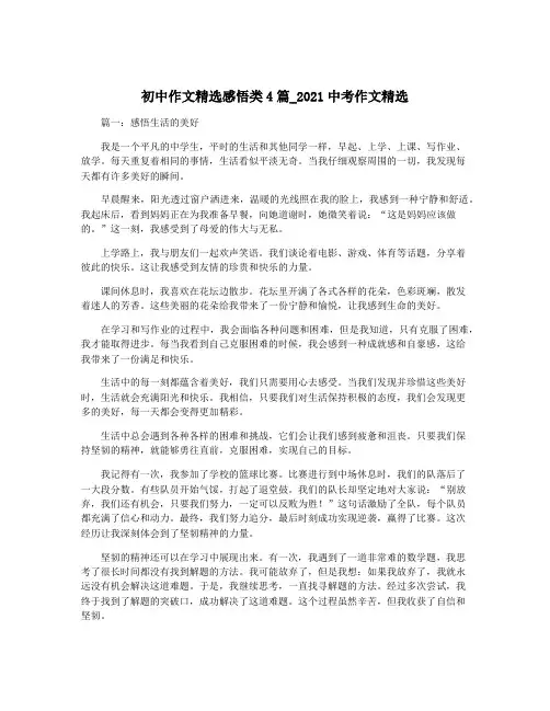 初中作文精选感悟类4篇_2021中考作文精选