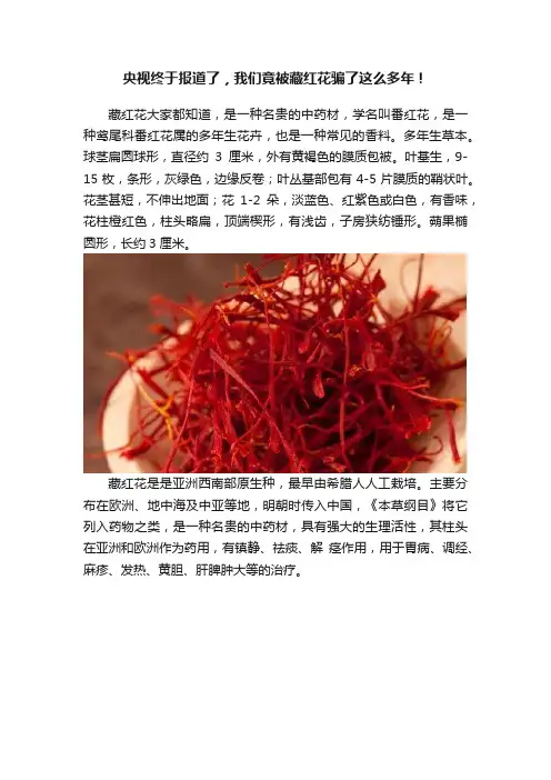 央视终于报道了，我们竟被藏红花骗了这么多年！