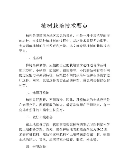 柿树栽培技术要点