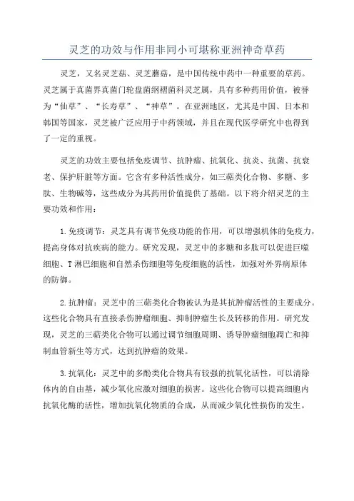 灵芝的功效与作用非同小可堪称亚洲神奇草药