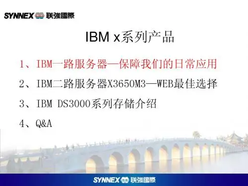 ibm x产品介绍