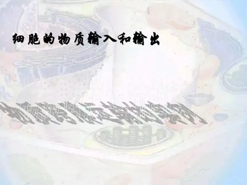 人教版高中生物必修一第四章第1节《物质跨膜运输的实例》 课件 (共40张PPT)