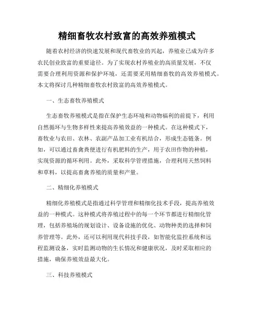 精细畜牧农村致富的高效养殖模式