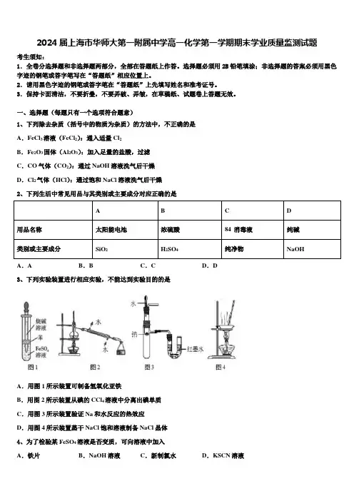 2024届上海市华师大第一附属中学高一化学第一学期期末学业质量监测试题含解析