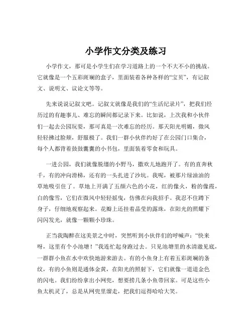 小学作文分类及练习