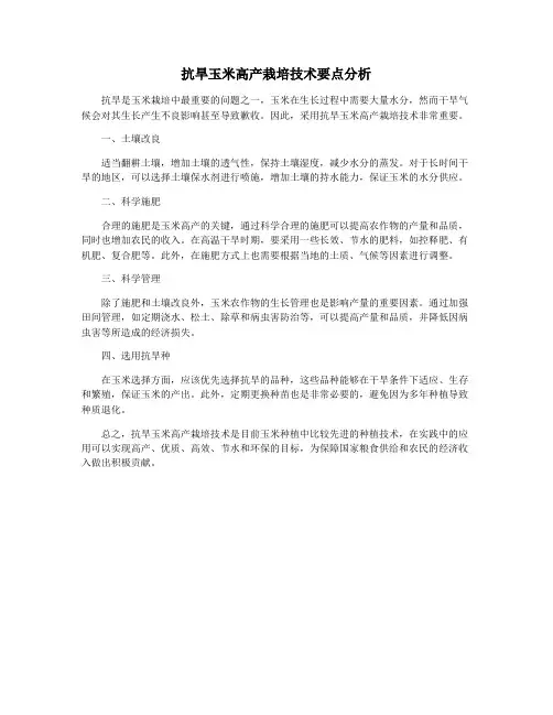 抗旱玉米高产栽培技术要点分析