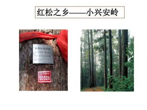 红松之乡——小兴安岭