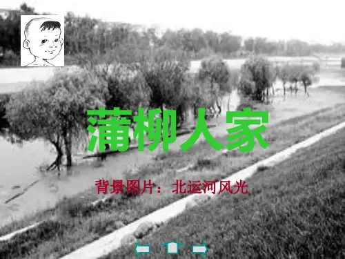 第6课;《蒲柳人家》ppt课件