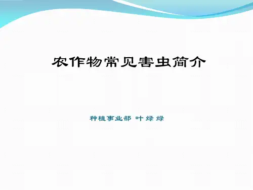 农业常见害虫简介