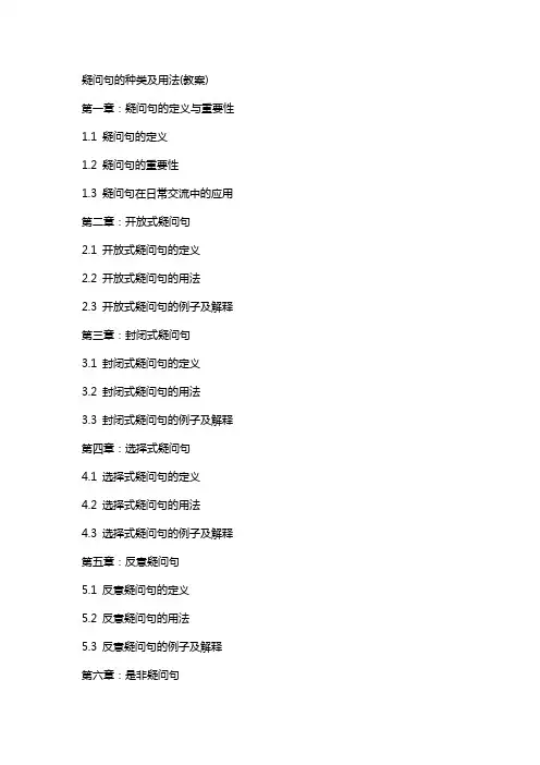 疑问句的种类及用法(教案)