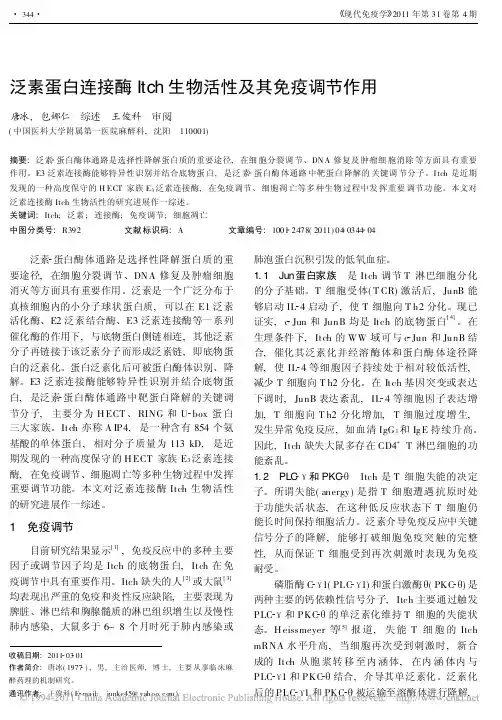 泛素蛋白连接酶Itch生物活性及其免疫调节作用