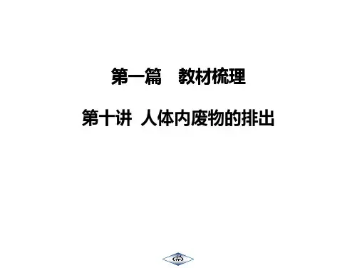 第10讲人体内废物的排出课件