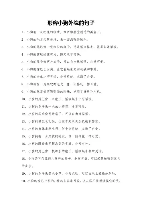 形容小狗外貌的句子