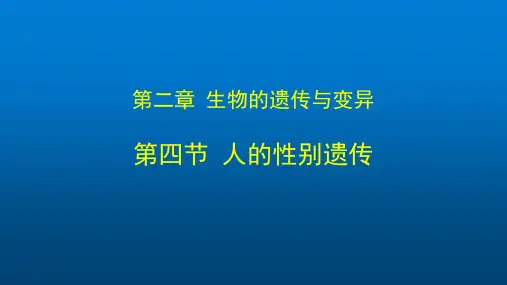 八年级下册初二生物(人教版)第二章  生物的遗传和变异 2.4人的性别遗传