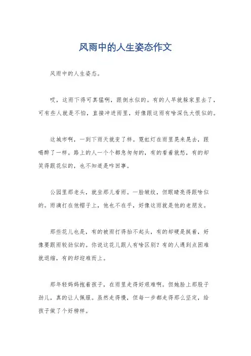风雨中的人生姿态作文