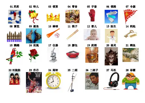 数字编码图像1-100