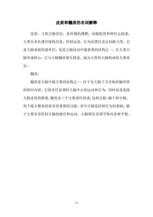 皮质和髓质的名词解释