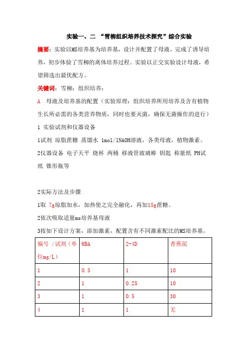 花卉学实验报告