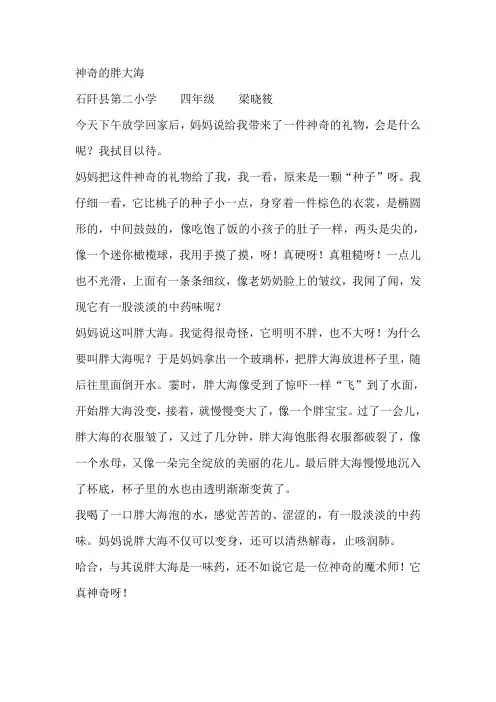 神奇的胖大海
