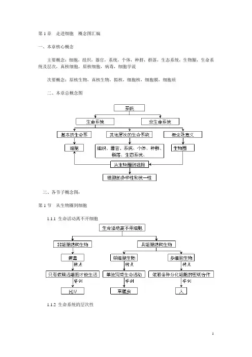 高中生物必修一知识框架