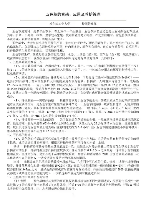 五色草养护管理