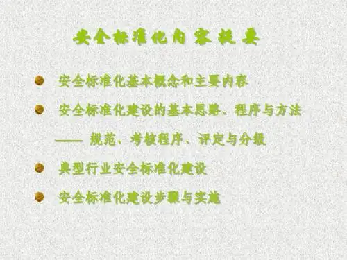 安全标准化概述