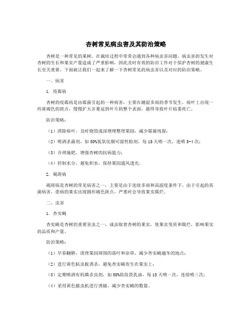 杏树常见病虫害及其防治策略